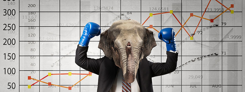 Fondsvolumen und ETFs: Big is beautiful